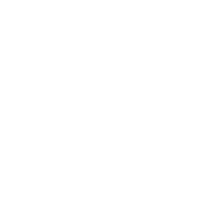 Raven's Toys